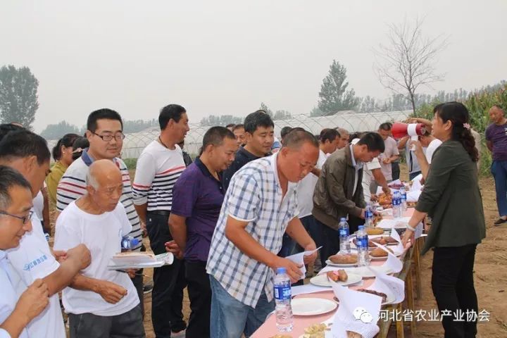 協(xié)會薯業(yè)專業(yè)委員會“甘薯新品種品鑒及輕簡化高效栽培技術(shù)現(xiàn)場觀摩會”成功舉辦